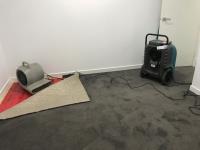 Steamfresh Carpet Cleaning image 6